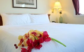 Nomad Hotel & Suites